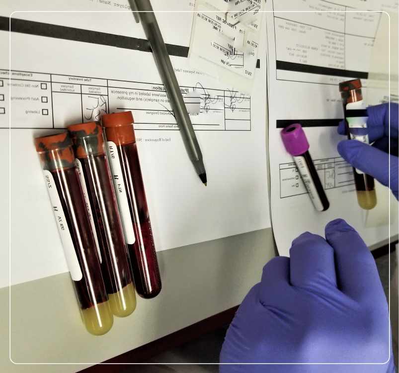 Gallbladder Cancer Evaluation