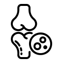 Bone Cancer