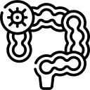Gastrointestinal Cancer